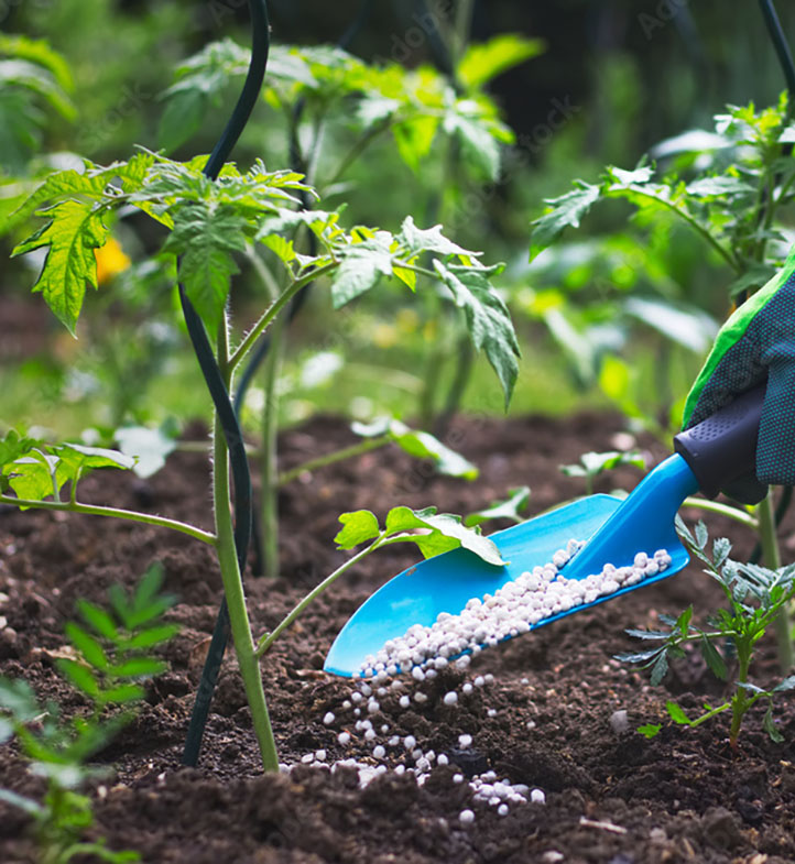 COMESA Fertilizer Regional Programme (COMFREP)