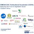 East Africa Horticulture Accelerator Brief